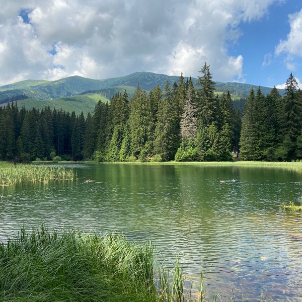 Плесо Анастасия