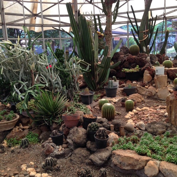 Taman Kaktus - Garden in Taman Mini Indonesia Indah