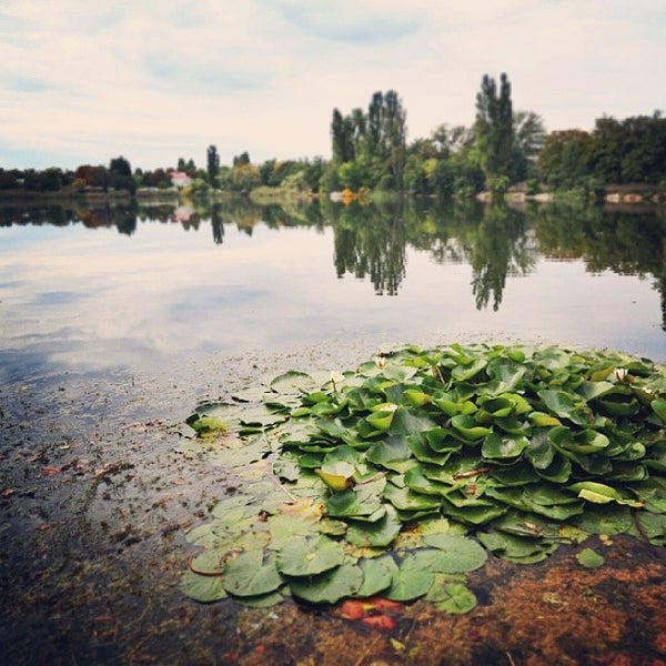 Ук озеро нижний. Фото Нижнего озера в Симферополе.
