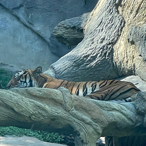 Foto diambil di Cincinnati Zoo &amp; Botanical Garden oleh Stephanie S. pada 9/12/2022