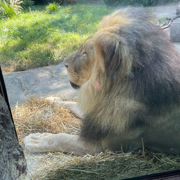 9/14/2023 tarihinde Stephanie S.ziyaretçi tarafından Cincinnati Zoo &amp; Botanical Garden'de çekilen fotoğraf