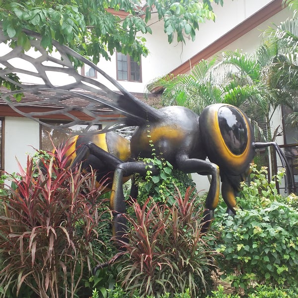 7/15/2017에 Hengameh R.님이 Big Bee Farm (Pattaya)에서 찍은 사진