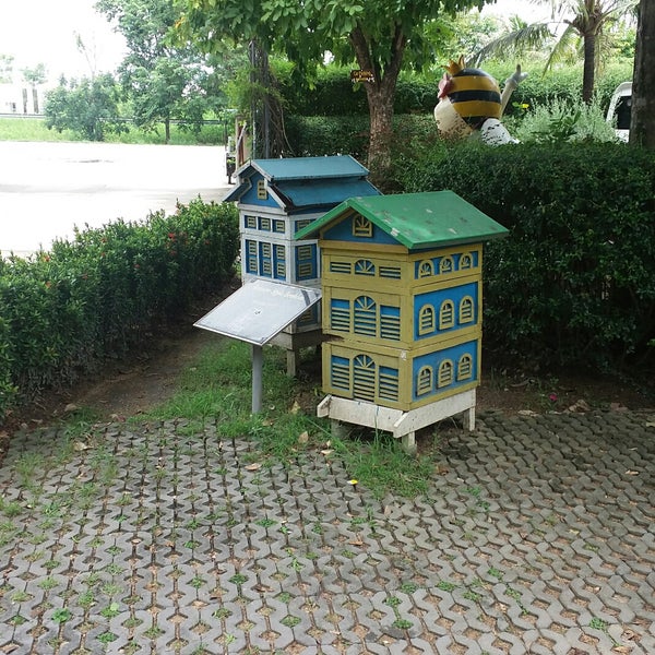 7/15/2017에 Hengameh R.님이 Big Bee Farm (Pattaya)에서 찍은 사진
