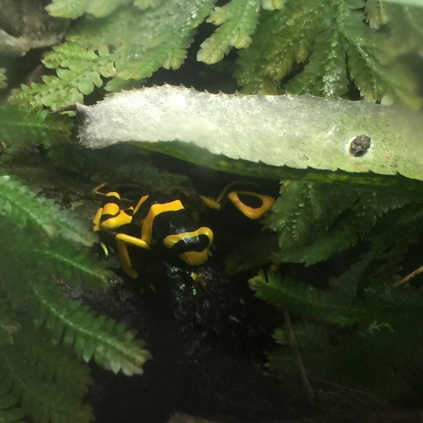 Bermuda Triangle Hickory Valley Hamilton Place 5 Tips