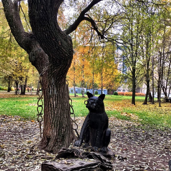 Кот ученый оренбург. Ученый кот москва. как выглядит кот ученый.