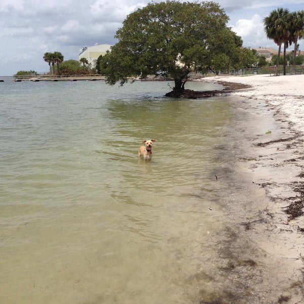 Picnic Island Beach