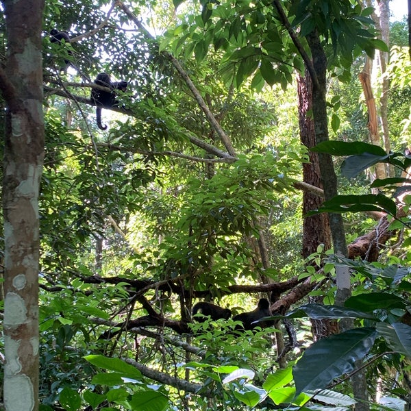 รูปภาพถ่ายที่ Parque Nacional Iguazú โดย Maxi C. เมื่อ 4/23/2023