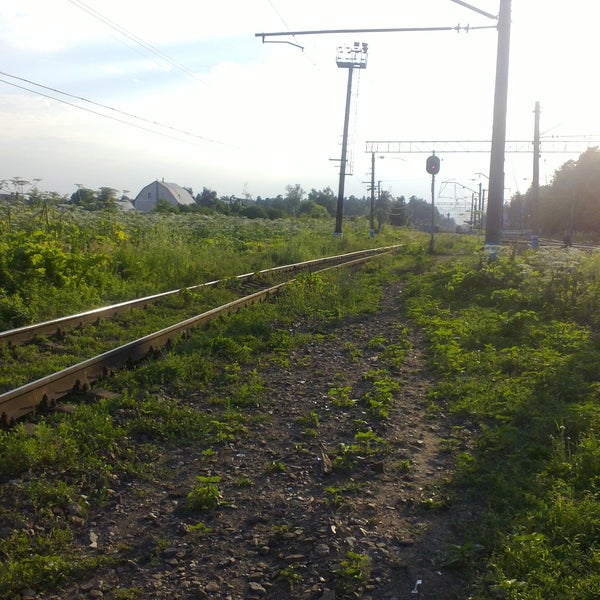 зеленое платформа