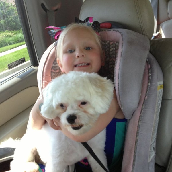 Photos At Four Paws Pantry Spa Pet Service In Olathe