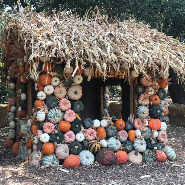 Снимок сделан в Descanso Gardens пользователем Nessie 10/4/2020