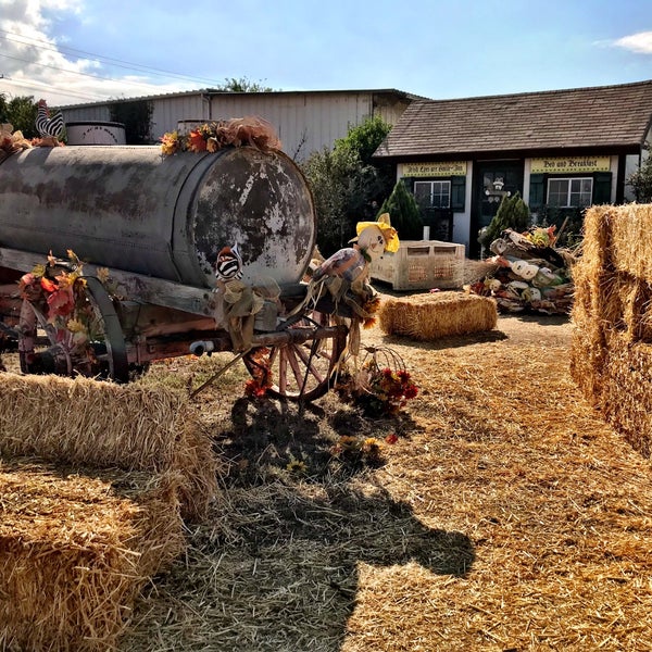 Big Horse Feed & Farm Supply Temecula, CA