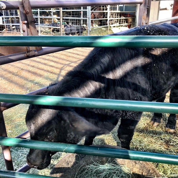 Big Horse Feed & Farm Supply Temecula, CA