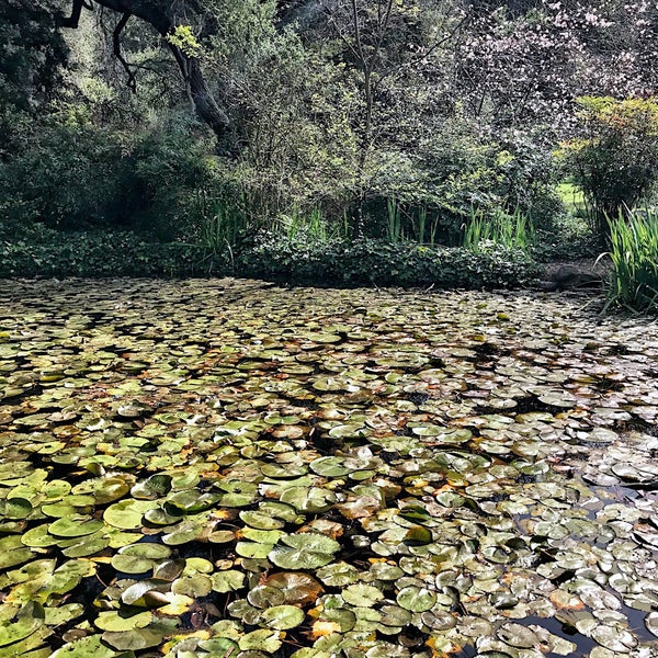 Foto tirada no(a) Descanso Gardens por Nessie em 4/21/2018