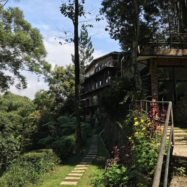 Photos At The Pinewood Lodge Organic Farm