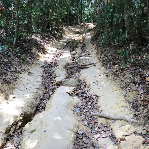 Снимок сделан в Tub Kaek - Khao Ngon-Nak Nature Trail пользователем Larry M. 3/20/2020