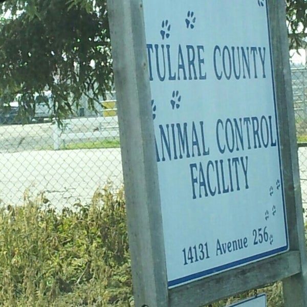 Tulare County Animal Shelter Visalia, CA
