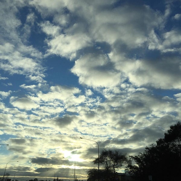 Mozaik Cafe 61 Constellation Drive