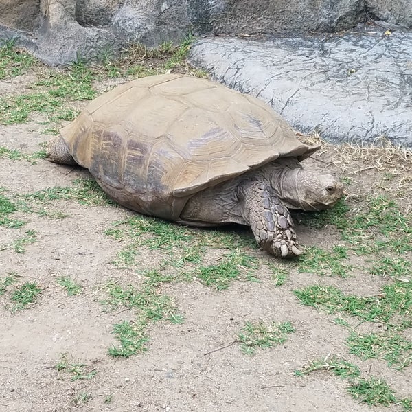 Photo taken at Happy Hollow Park &amp; Zoo by Gourav T. on 4/27/2019