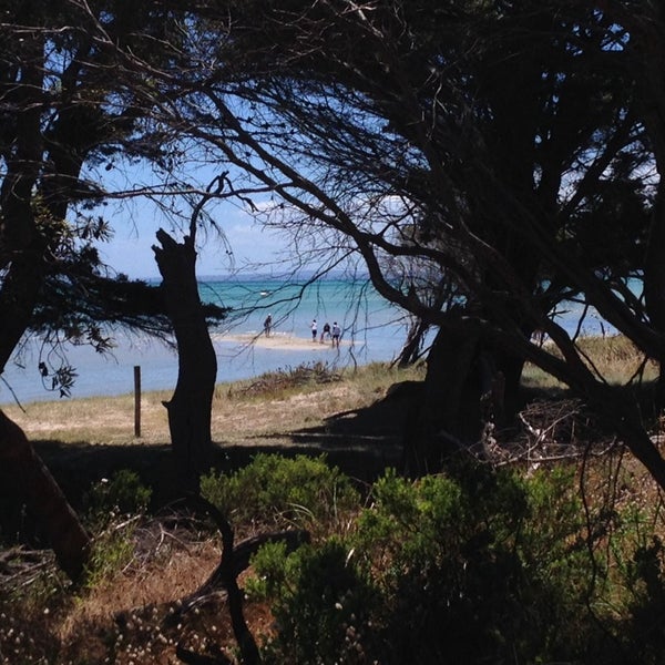 Rosebud West Foreshore Beach