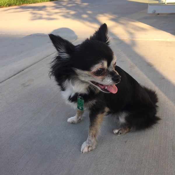 The Shops at Stonefield Charlottesville, VA