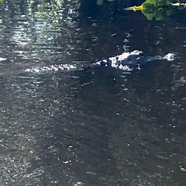 Photo taken at Everglades Holiday Park by 🐳Katherine K. on 11/2/2019