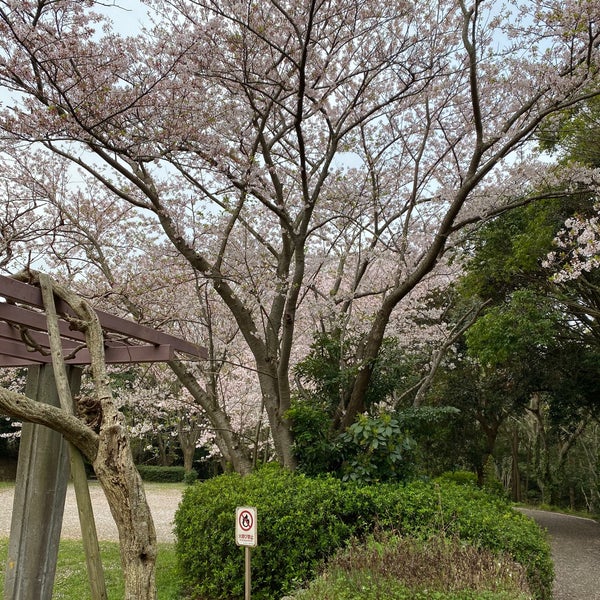 Photos At 神場公園 花見川区 2 Tips From 32 Visitors Photos At 神場公園 花見川区 2 Tips From 32 Visitors