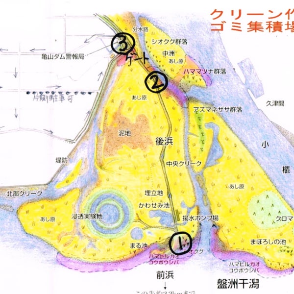 盤洲干潟 盤洲干潟