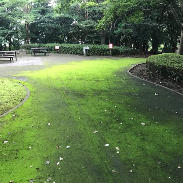 Photos At 習志野の森 Forest In 習志野市