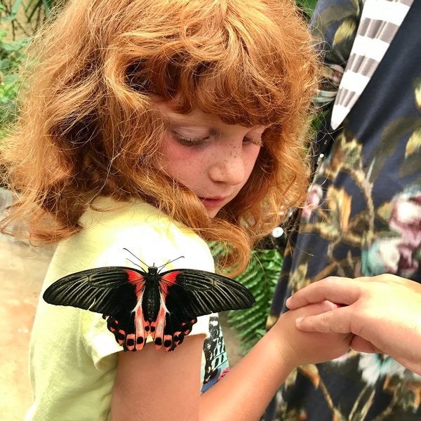 Photo taken at Mariposario de Benalmádena - Benalmadena Butterfly Park by Anna V. on 8/17/2017