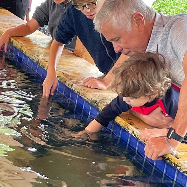 Das Foto wurde bei Miami Seaquarium von Marlene V. am 3/13/2022 aufgenommen