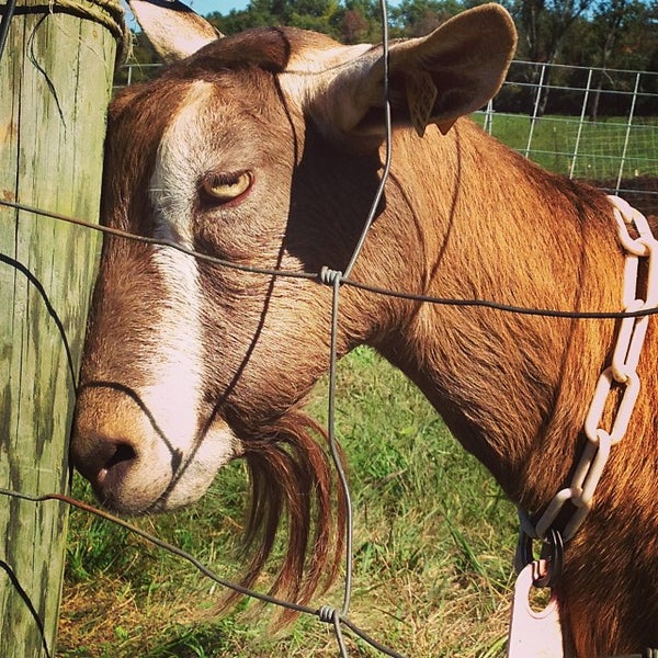 Photo taken at Sprout Creek Farm by Benny W. on 9/28/2013