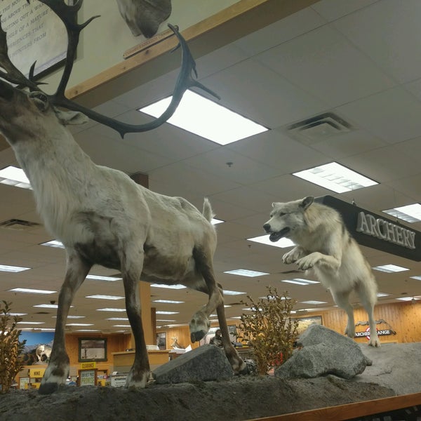 Cabela's Sporting Goods Retail