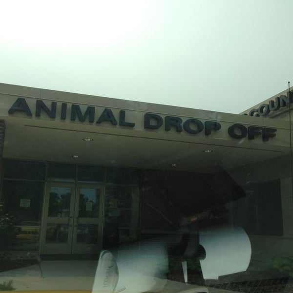 kent county animal shelter