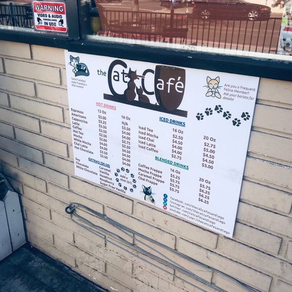 Foto scattata a The Cat Cafe da Aree A. il 1/2/2019