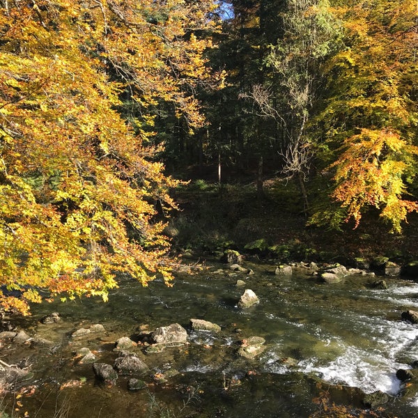Photo taken at Gorges de l&#39;Areuse by Caro C. on 10/14/2017
