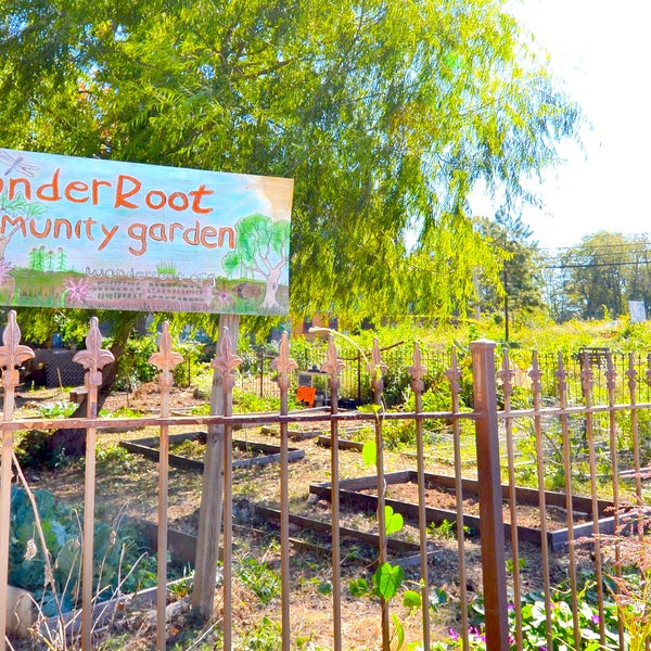 This unassuming building with the haphazard garden is actually doing big things - this non-profit's mission is to promote positive community change through arts-based programs.