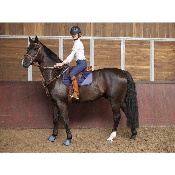 Пад для лошади. Конный магазин best new horse. Хорс мастер. Конный магазин best new horse. Хорс конный магазин.