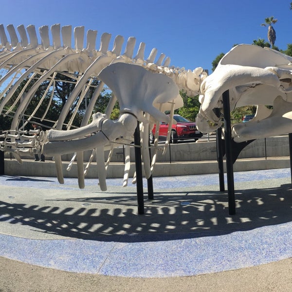 Photo taken at Santa Barbara Museum Of Natural History by Laura H. on 6/16/2017