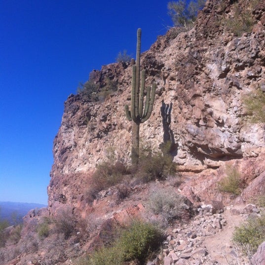 Sunnyarizona- walks and hikes: TUMAMOC HILL, Tucson 