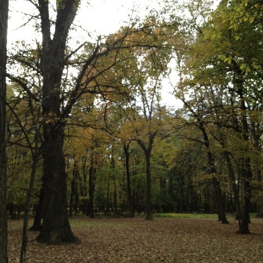 St. Paul Woods (Cook County Forest Preserve) Forest in Morton Grove