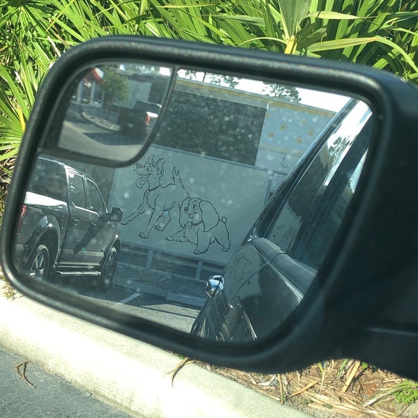 Best Friends Pet Care 19 tips