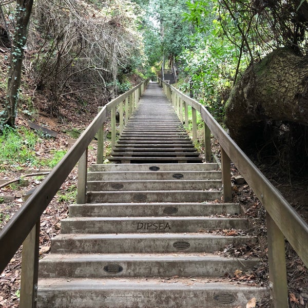 Dipsea Steps 3 tips from 335 visitors