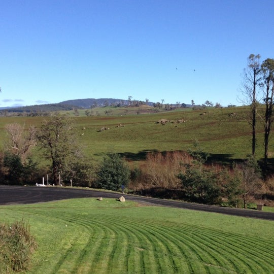 Элизабет таун. Луизиана президент. Фото пар на аву живые фотографии. Город леонора австралия. Элизабет таун.