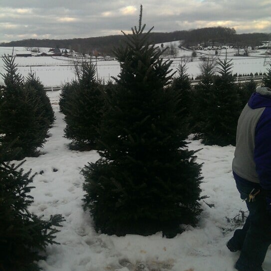 Jarrettsville Nurseries 5 tips from 166 visitors