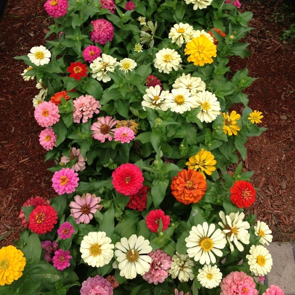 Atlanta State Farmers Market Forest Park, GA