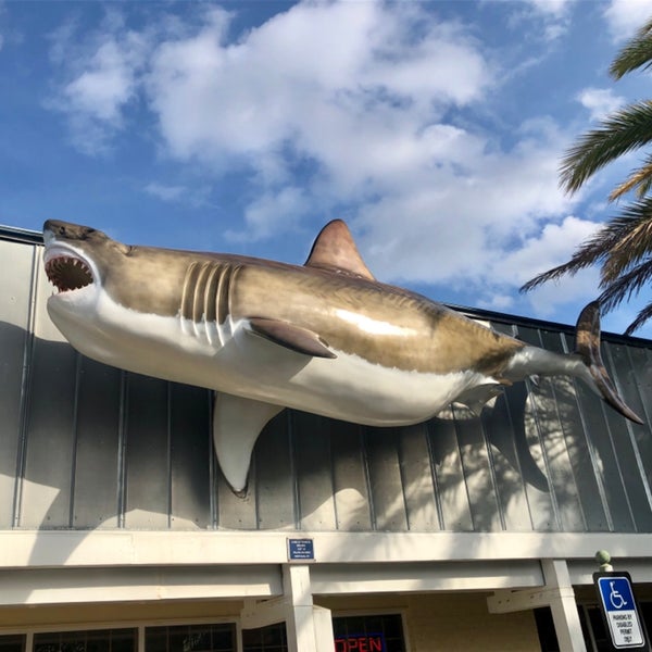 StrikeZone Fishing Southeast Jacksonville 11702 Beach Blvd