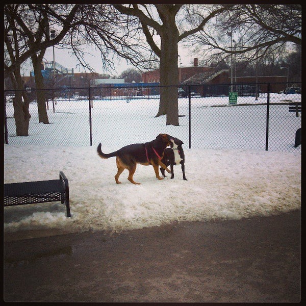Norwood Dog Park Dog Park in Chicago