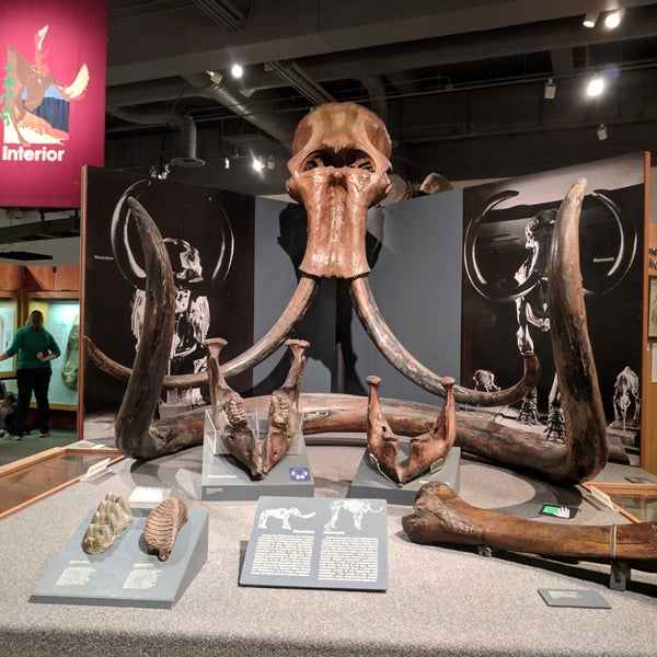 Foto tirada no(a) University of Alaska Museum of the North por Renee em 3/22/2019