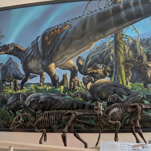 รูปภาพถ่ายที่ University of Alaska Museum of the North โดย Renee เมื่อ 3/22/2019