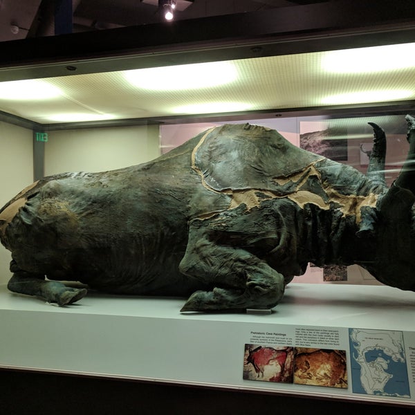 Photo taken at University of Alaska Museum of the North by Renee on 3/22/2019